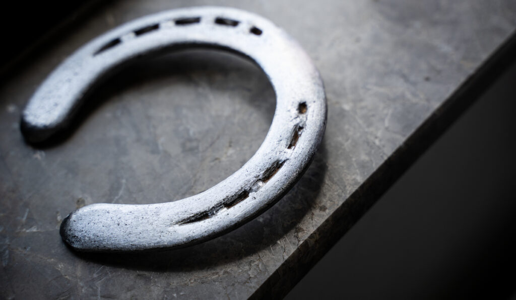 steel polished horse shoe