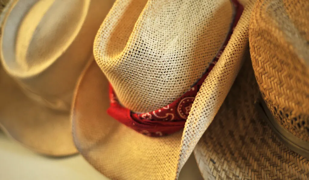 straw cowboy hats hanging on hat hooks in a home
