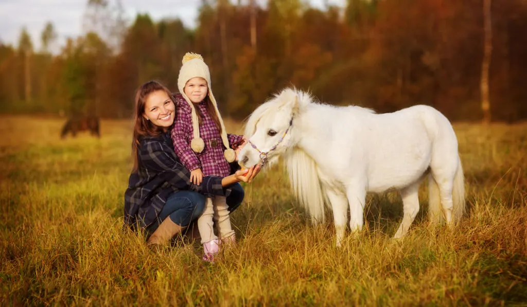 taking a photo with a miniature horse