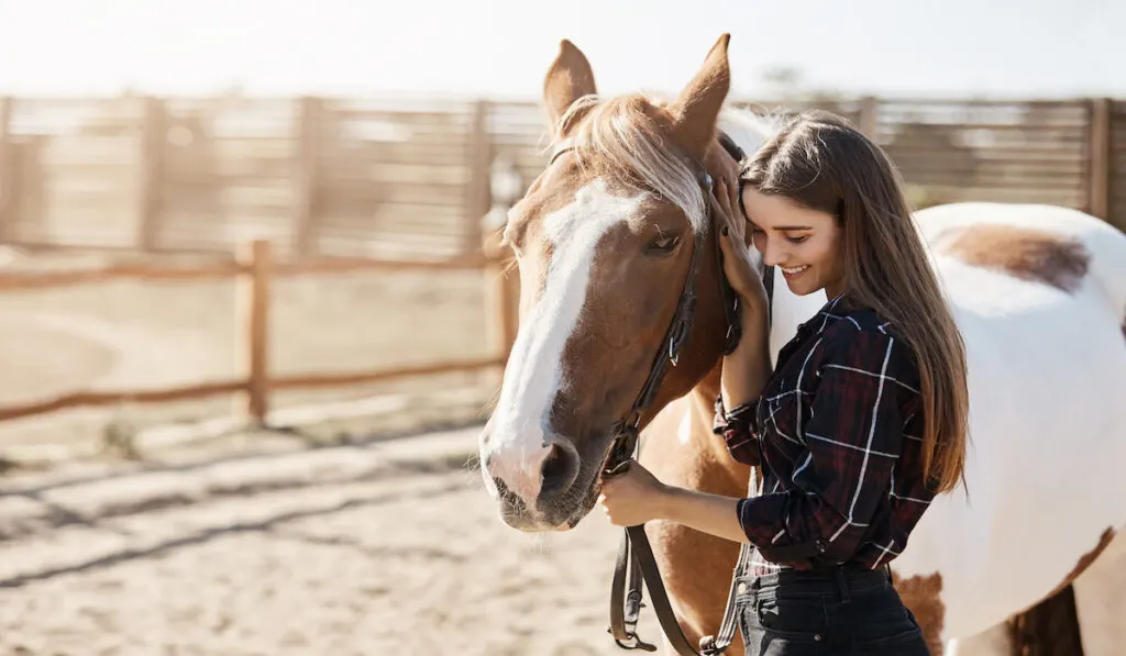 taking care of horse