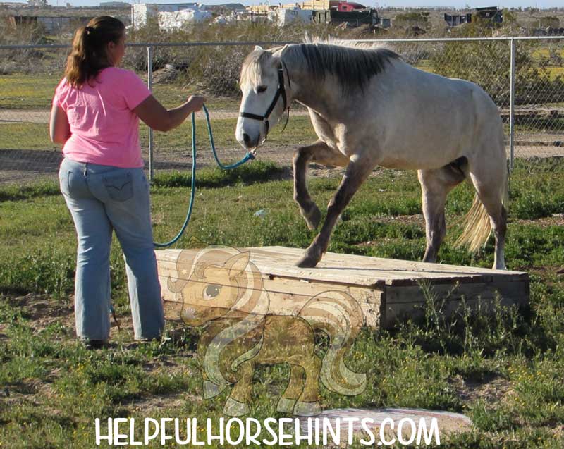 Woman and a horse stepping on a wooden stage