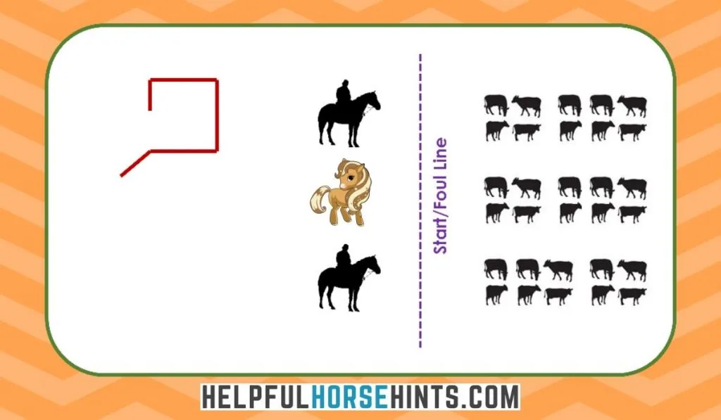 Team Penning Arena Layout