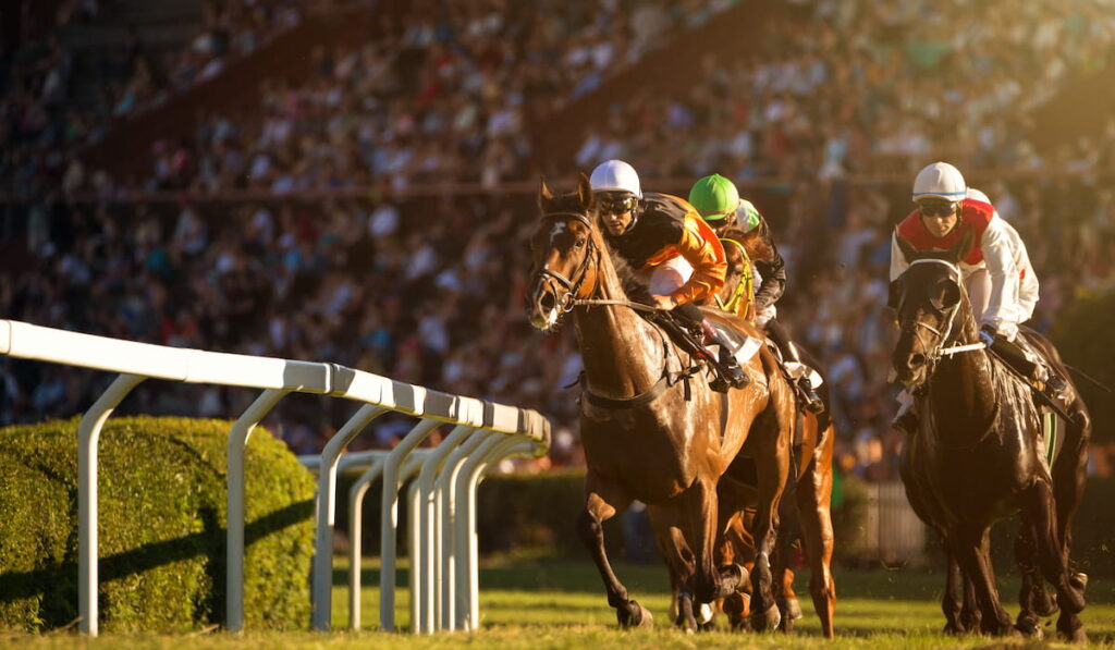 thoroughbred horse races on his horses going towards finish line 