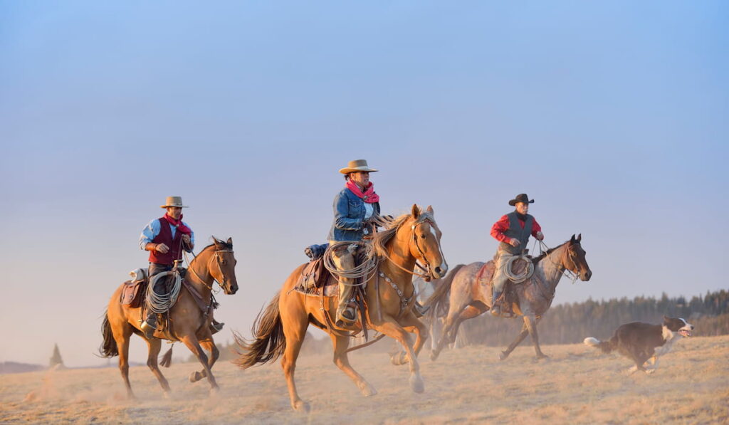 three riding cowboys