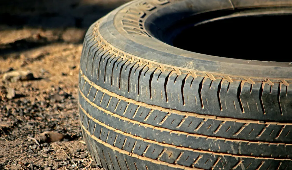 tire obstacle course for horses 