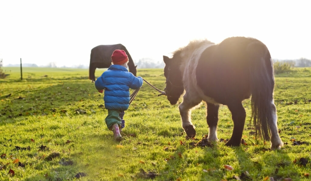 toddler walking a pony