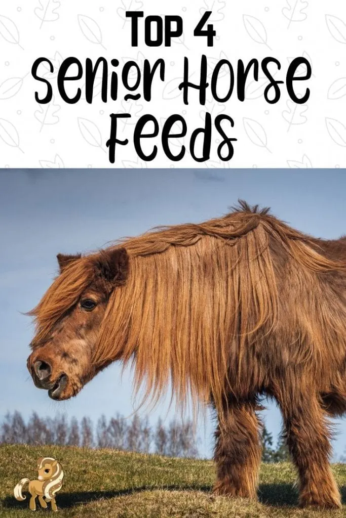 pinterest pin - senior horse
top 4 senior horse feeds