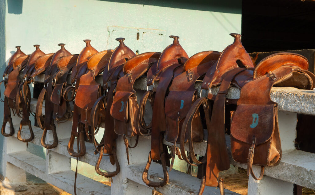 trail saddles lined up on a wooden fence