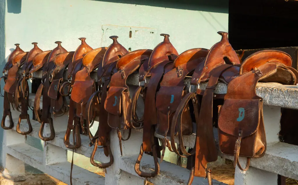 trail saddles lined up on a wooden fence