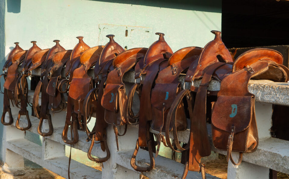 23 Types of Horse Saddles Helpful Horse Hints