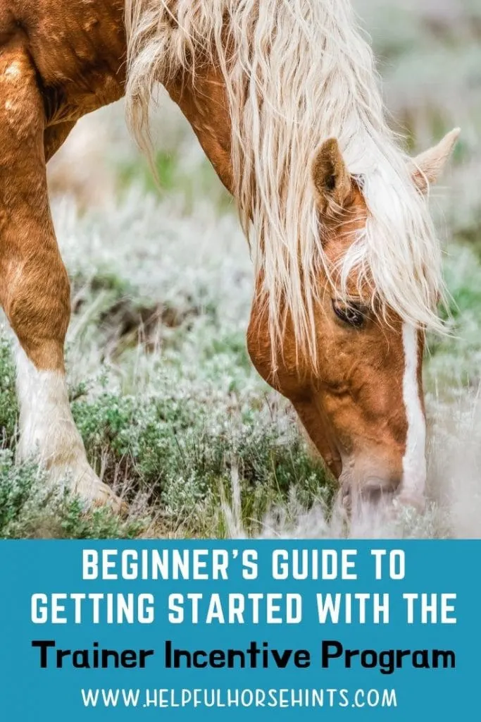 Beginner's guide to getting started with the Mustang Heritage Foundations TIP program for training BLM Mustangs and Burros.