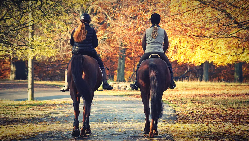 two women casually riding horses in a park - EE230318