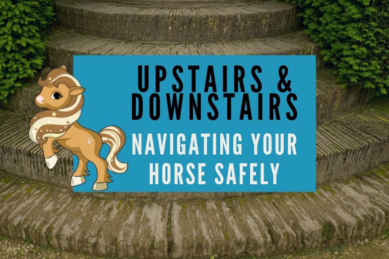 Guide to Horse Tail Ribbon Colors Helpful Horse Hints