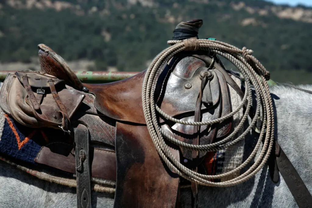 used roping saddle with rope close up
