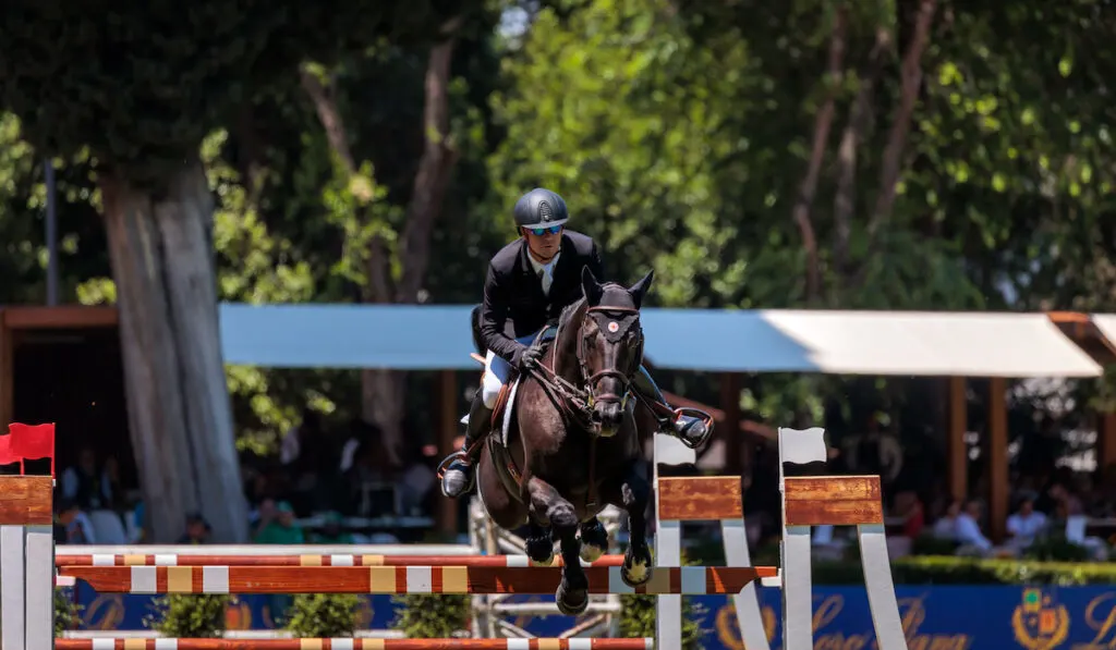 view on an equestrian show jumping competition