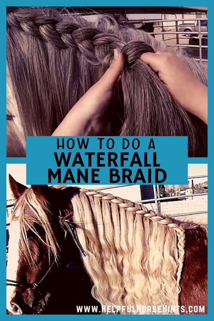 Pinterest pin - Learn how to do a waterfall horse mane braid on your horse. Includes video instructions.