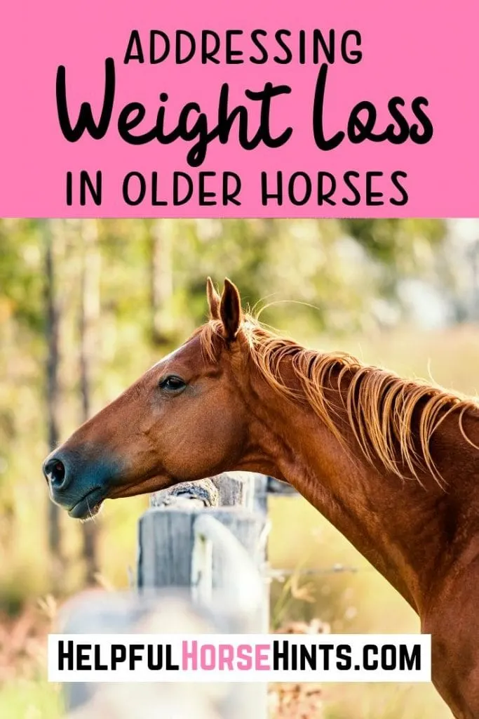 Pinterest pin - Addressing Weight Loss in Older Horses