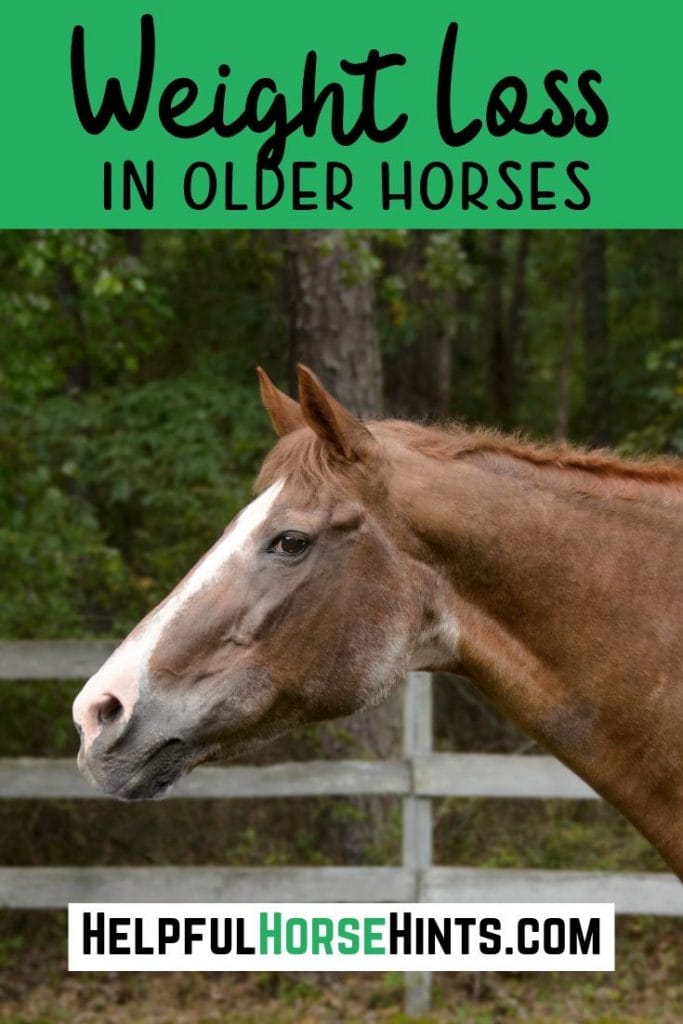 Pinterest pin -Addressing Weight Loss in Older Horses