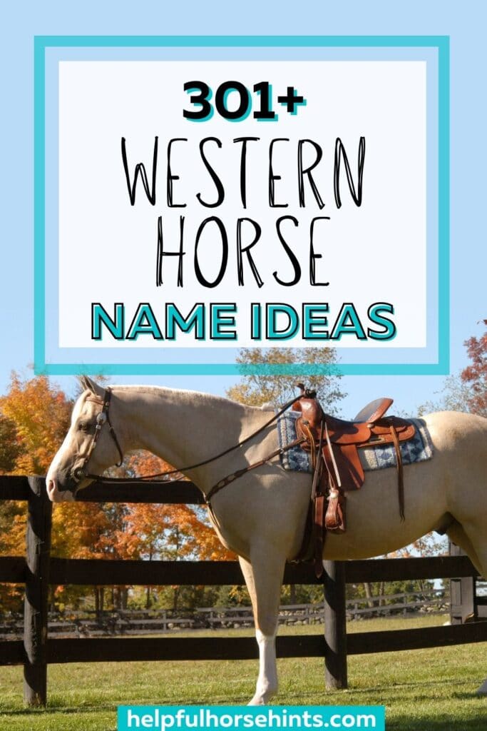 Pinterest pin - 301 western horse name ideas