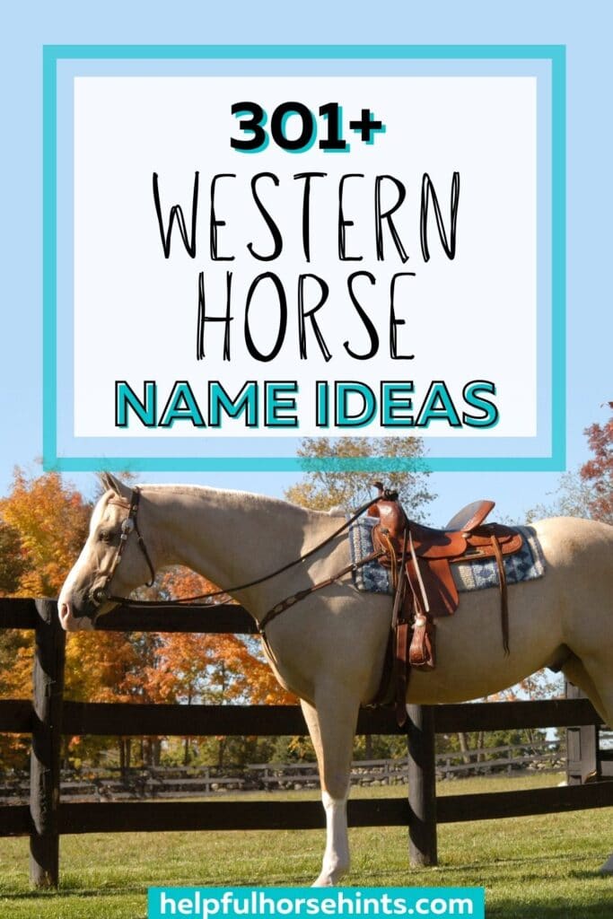 301 Western Horse Names For Mares And Geldings Male And Female 