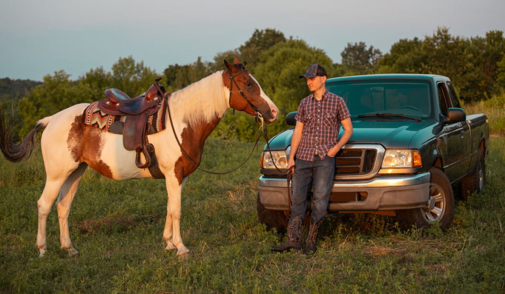  Western horse on the field at sunset