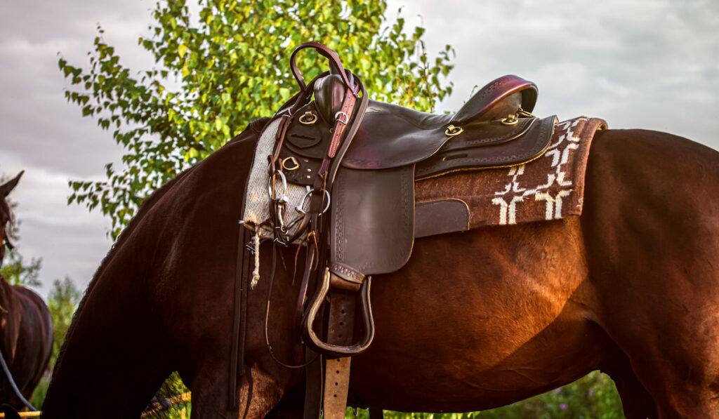 western saddle on brown horse grazing 