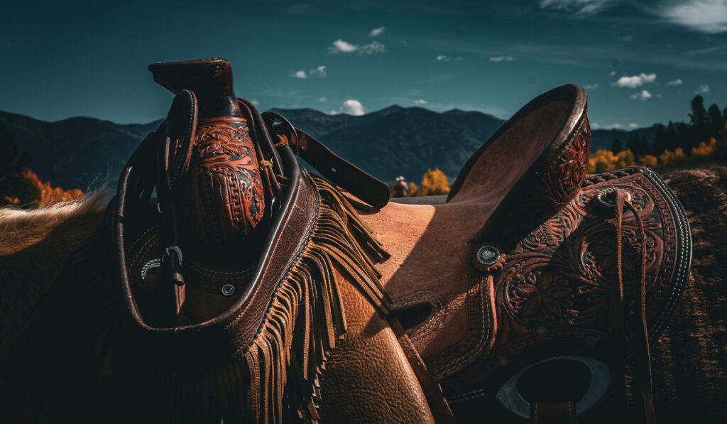 closeup photo of western saddle