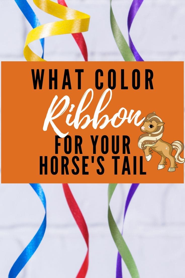 Guide to Horse Tail Ribbon Colors Helpful Horse Hints
