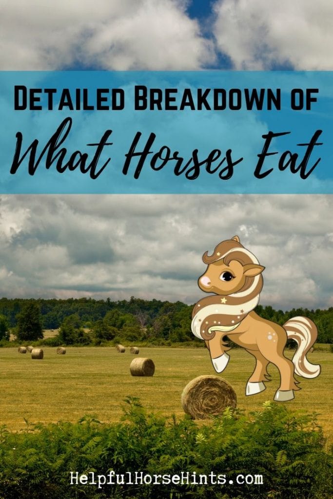 Pinterest pin - Detailed breakdown of what  horses eat