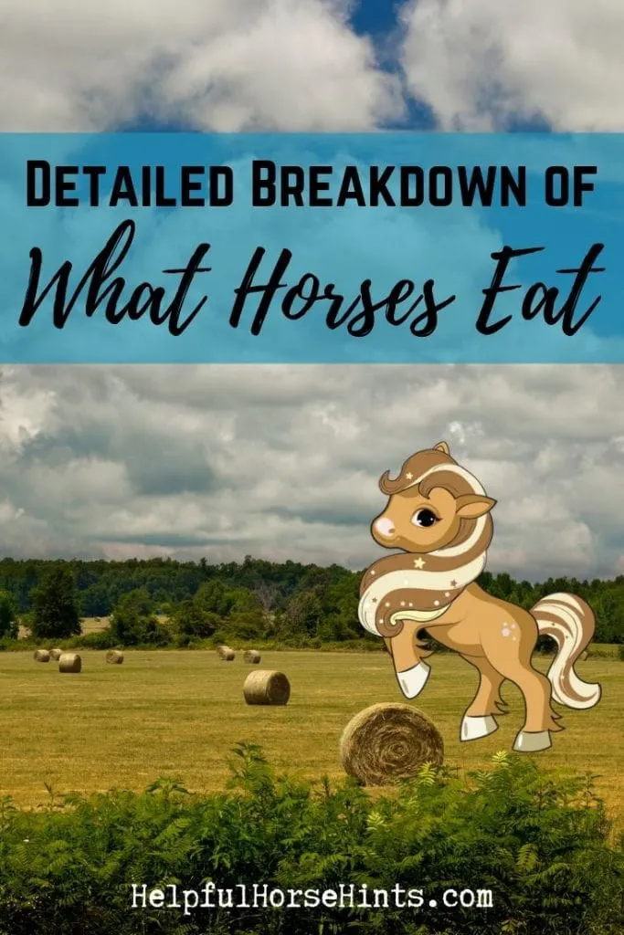 Pinterest pin - Detailed breakdown of what horses eat
