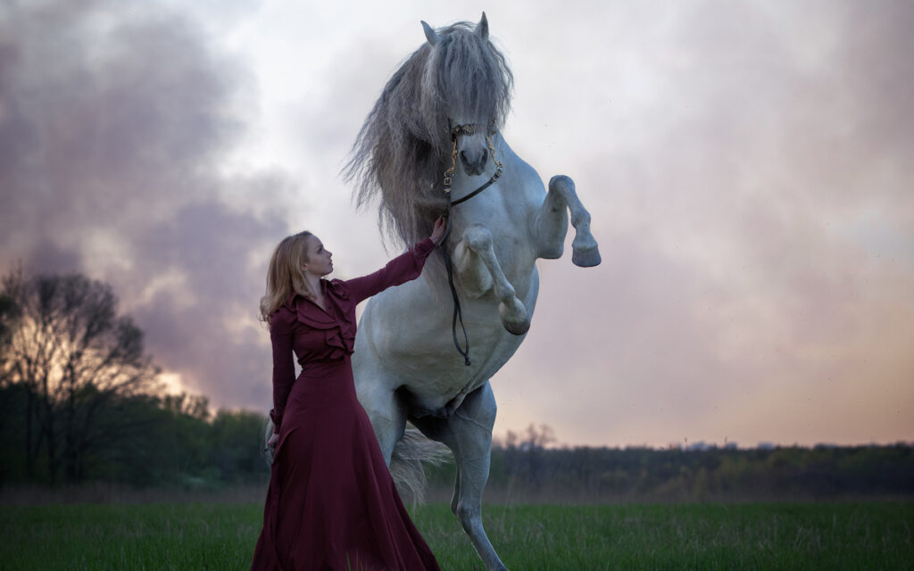 white andalusian horse with owner
