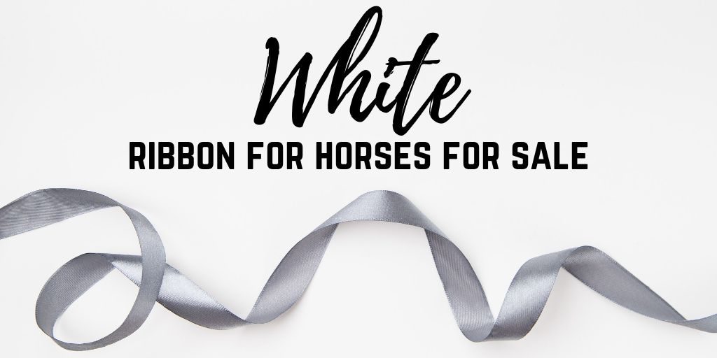 Guide to Horse Tail Ribbon Colors Helpful Horse Hints