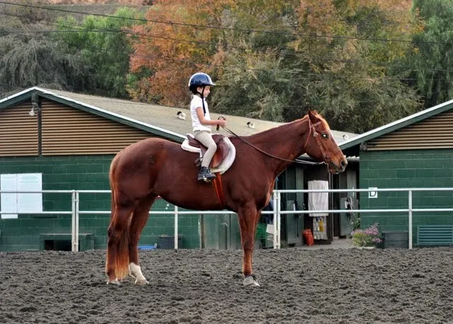 A kid riding a brown horse 
