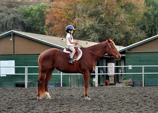 A kid riding a brown horse