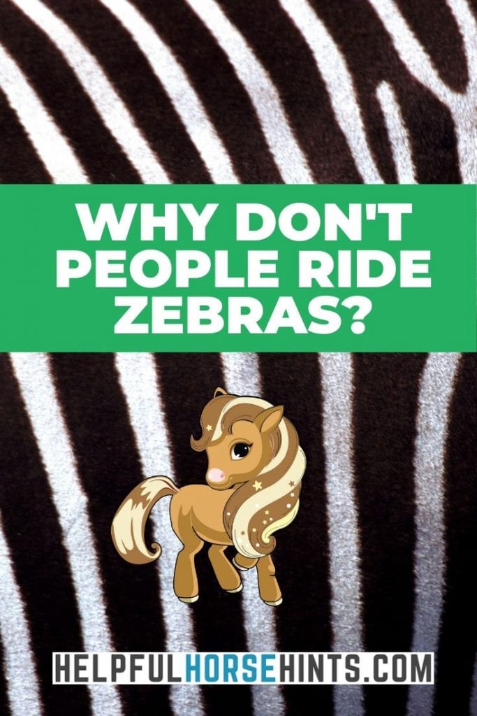 Pinterest pin - Why Don’t People Ride Zebras?