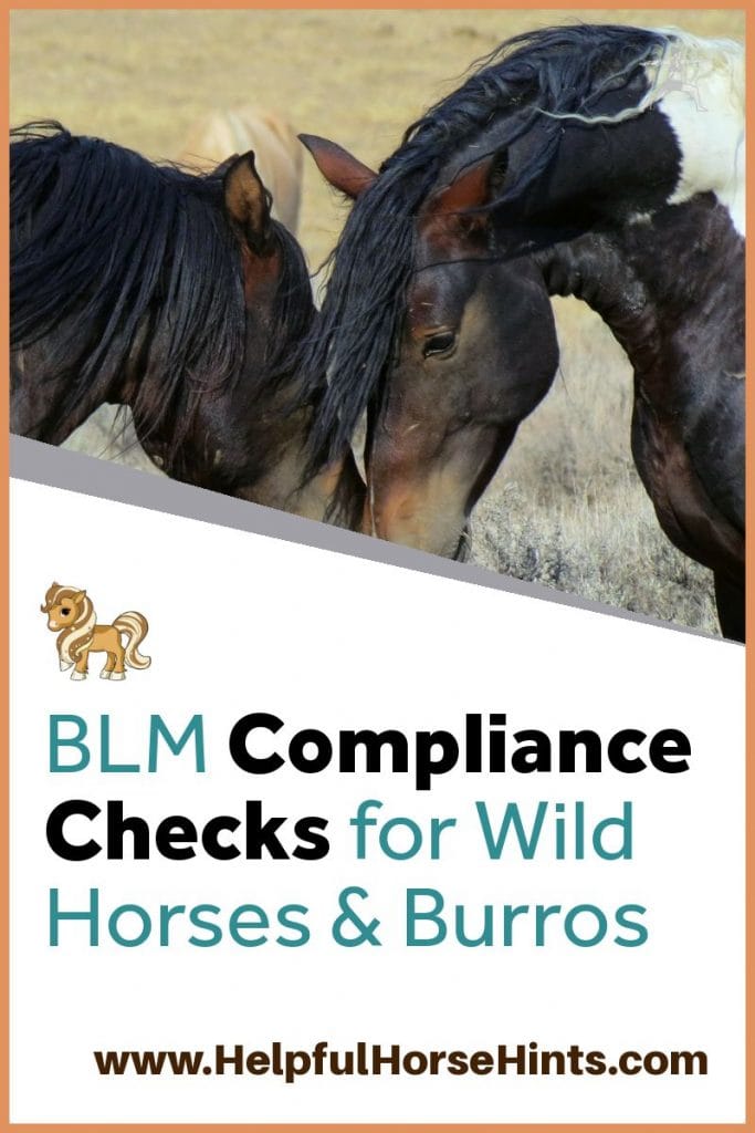 pinterest pin - BLM Compliance checks for wild horses & Burros