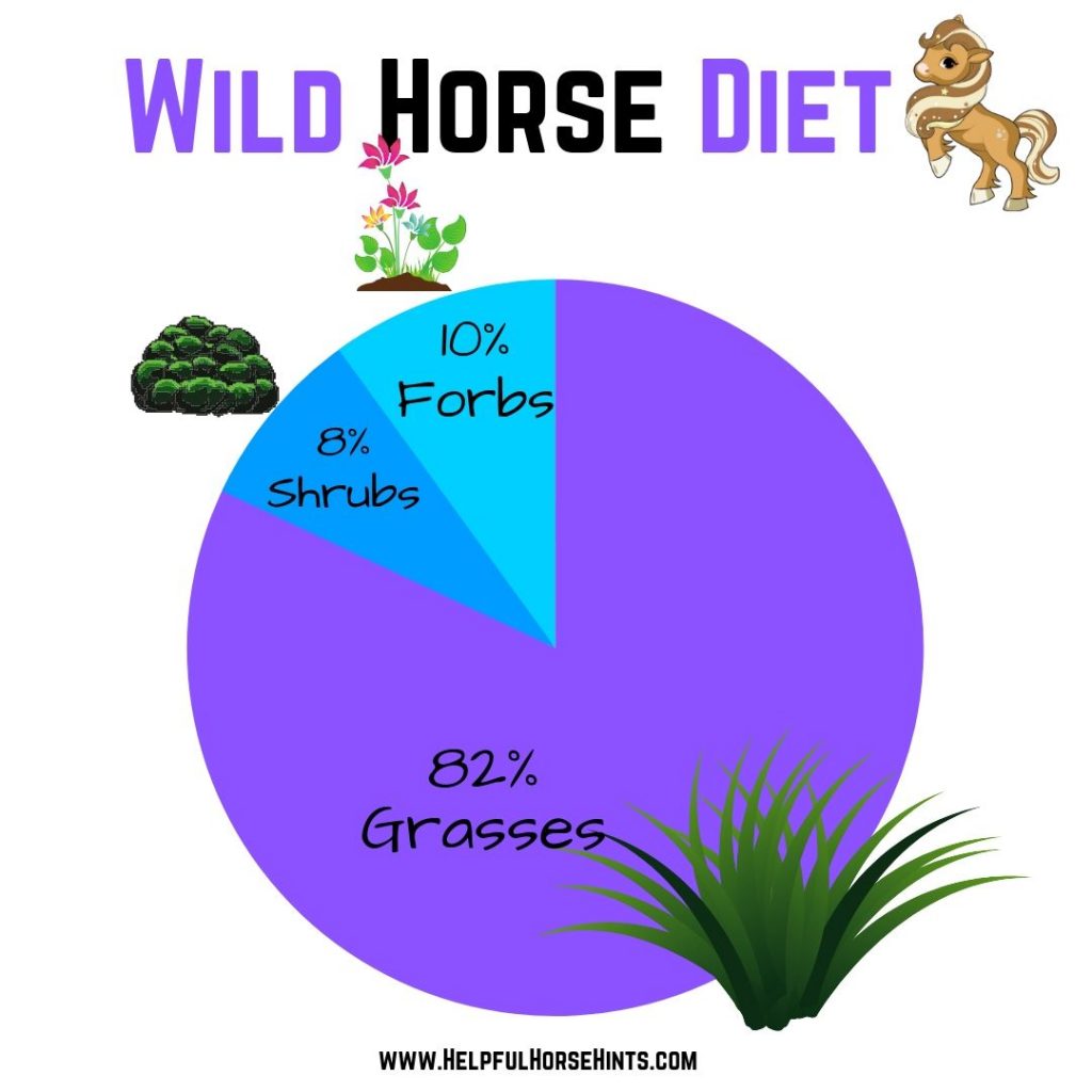 Pinterest Pin - Wild Horse Diet 