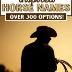 wild west horse names - pinterest image