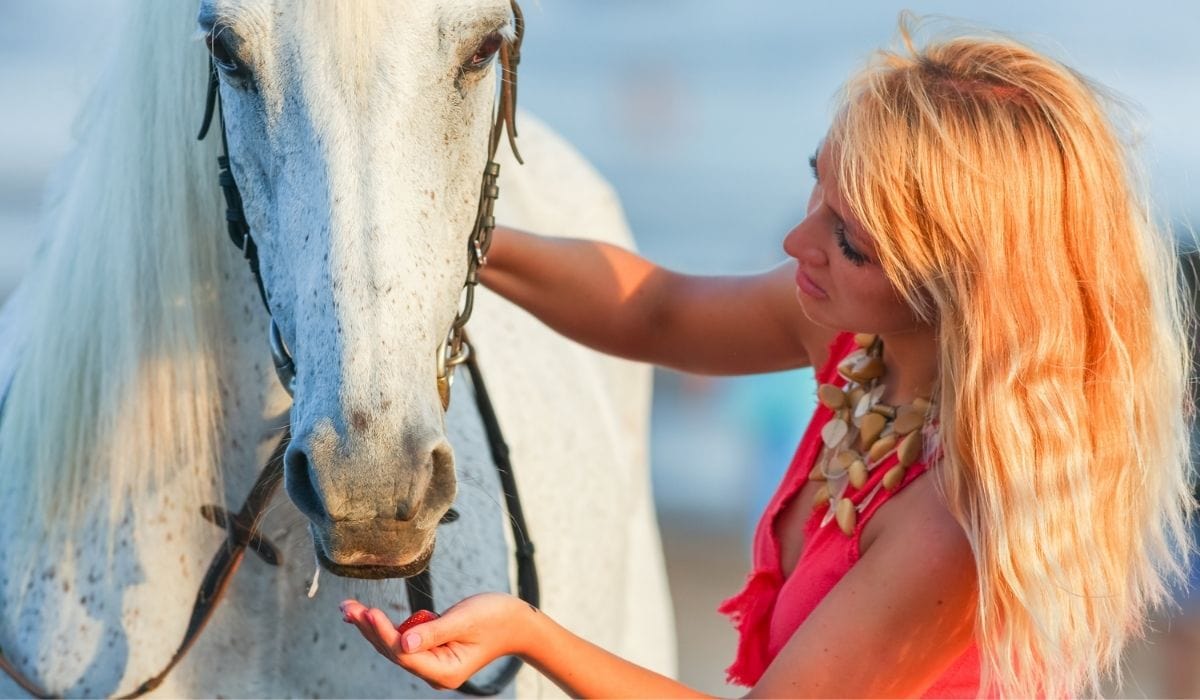 woman feeding horse strawberries