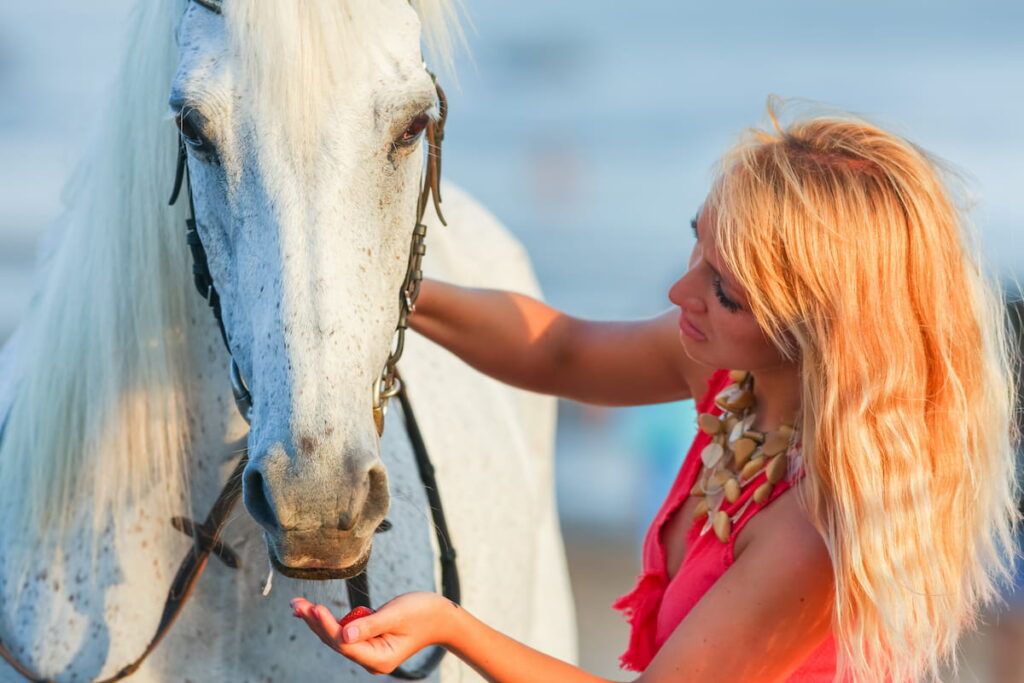 woman giving strawberry treats to a horse 