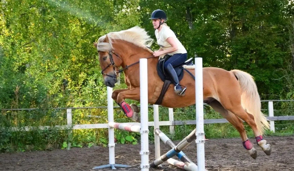 woman horseback riding and showjumping