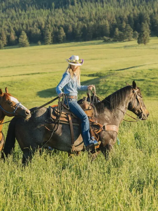 woman-leading-four-horses