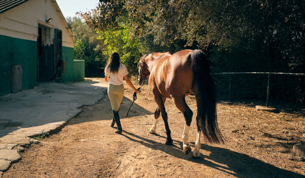 woman leading horse on ranch 