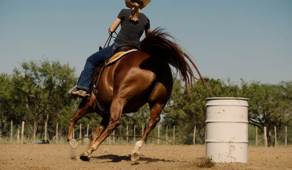 woman practicing with horse