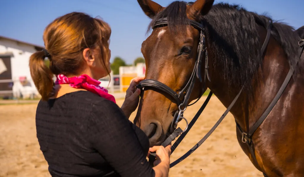 woman stroking her horse