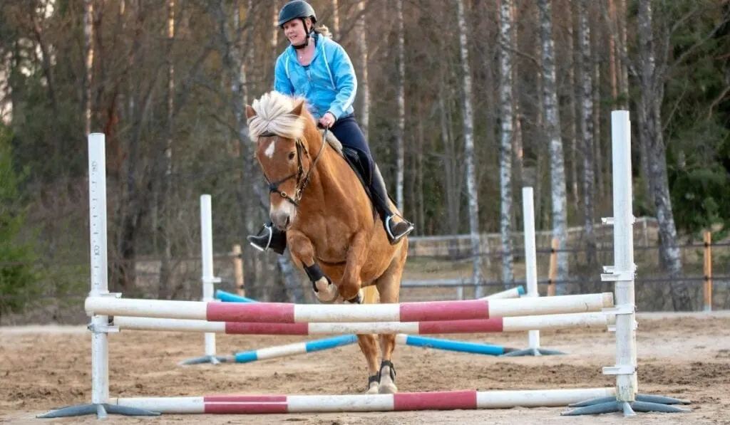woman training for showjumping