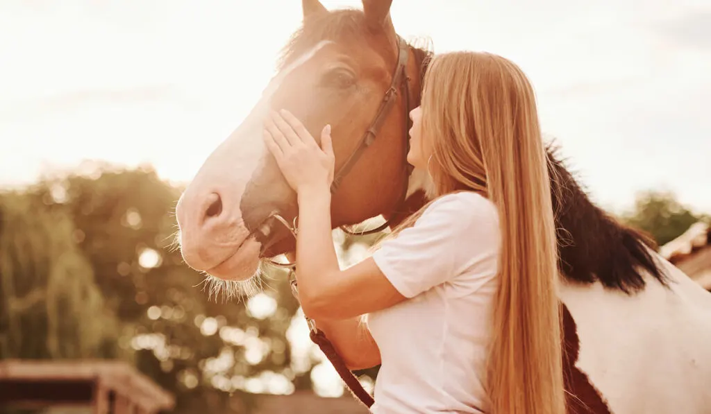 woman with her horse on the ranch at daytime, Sunny weather