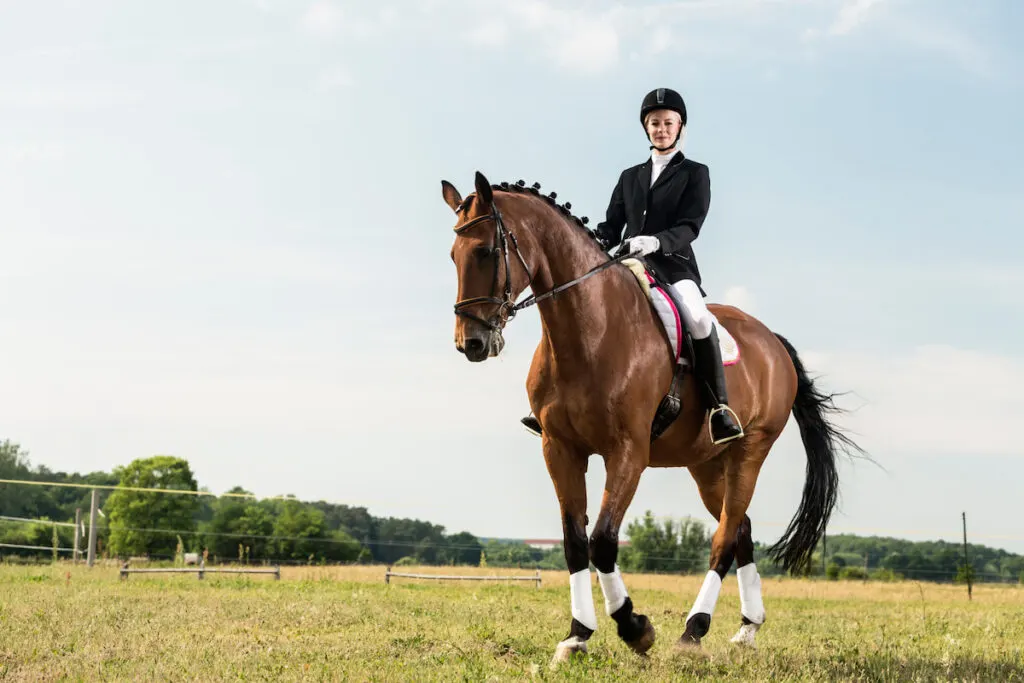 women in white pants riding a brown horse