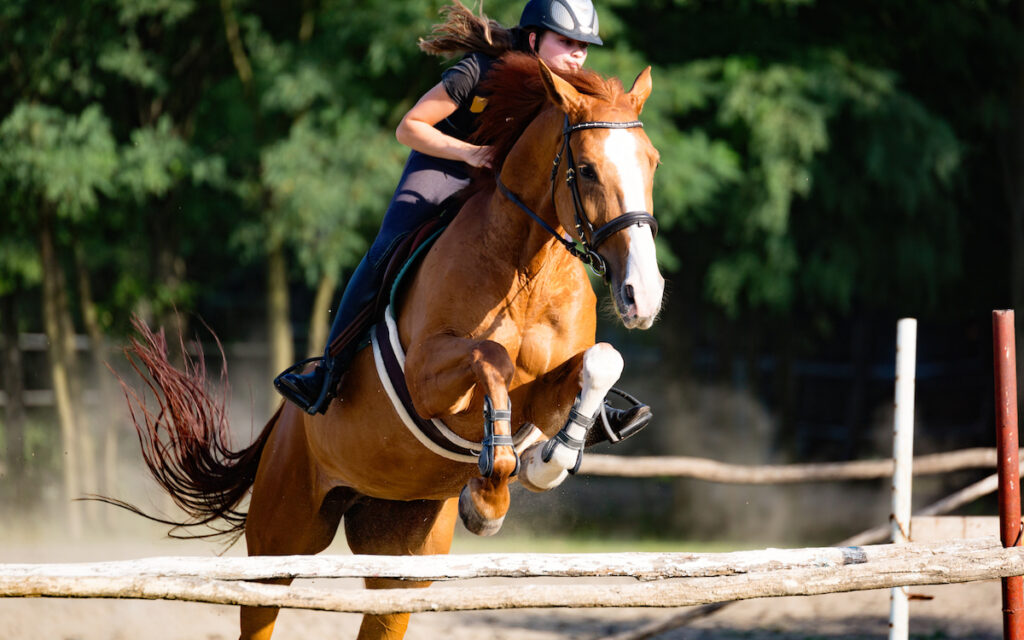 young-female-jockey-riding-horse