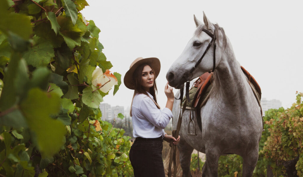 young girl next to her gray horse in the vineyards, autumn style
